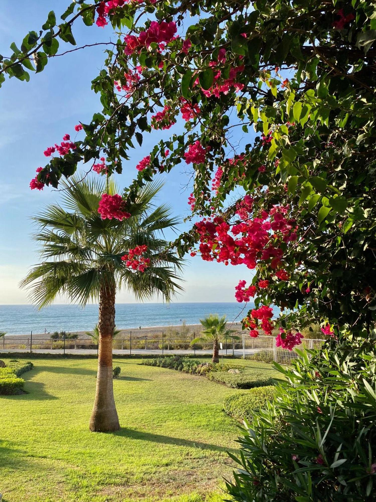 Sunshine Beach Front Complex, Wifi, Modern 卡萨雷斯 外观 照片